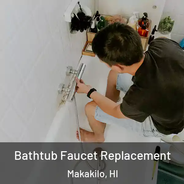  Bathtub Faucet Replacement Makakilo, HI