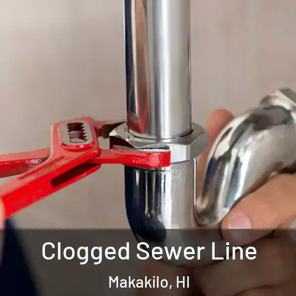  Clogged Sewer Line Makakilo, HI
