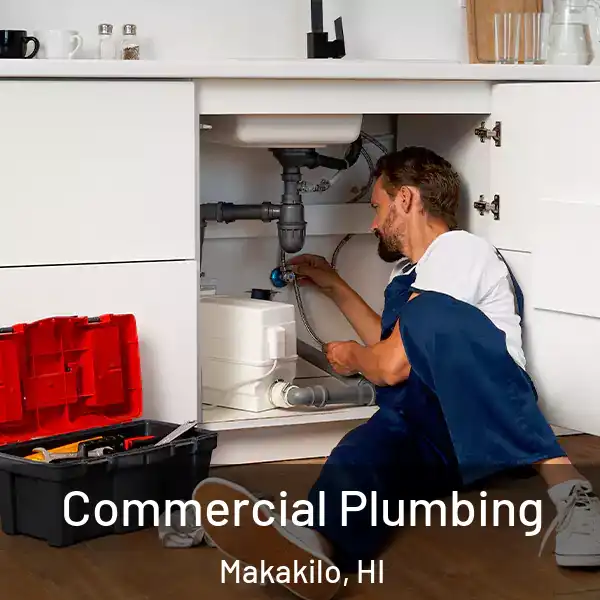  Commercial Plumbing Makakilo, HI