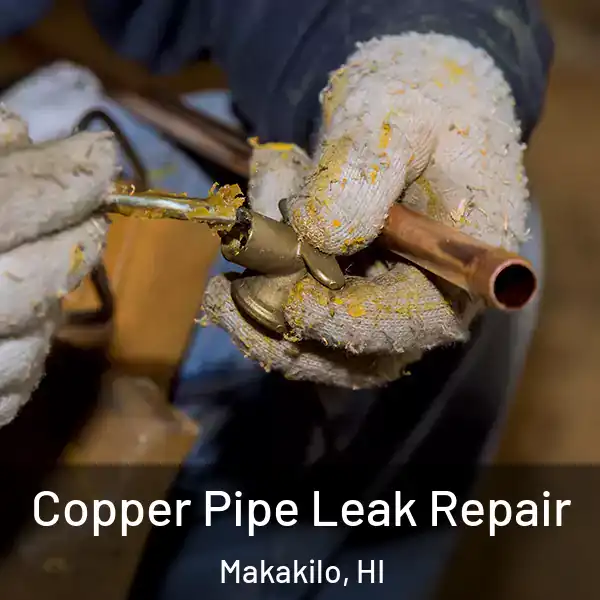  Copper Pipe Leak Repair Makakilo, HI