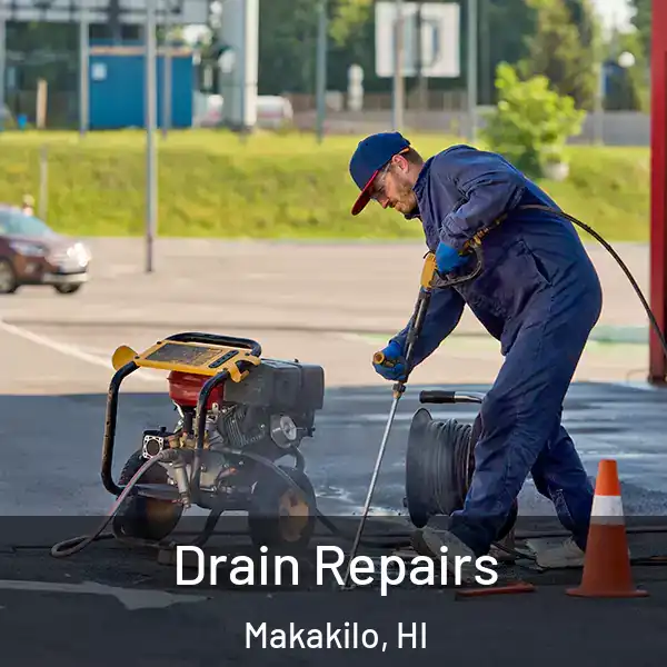  Drain Repairs Makakilo, HI