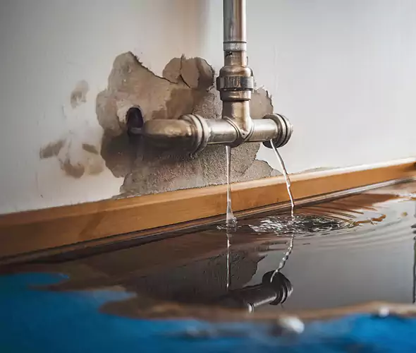 Professional Water Damage Restoration Experts in Makakilo, HI — Fast, Reliable & Certified