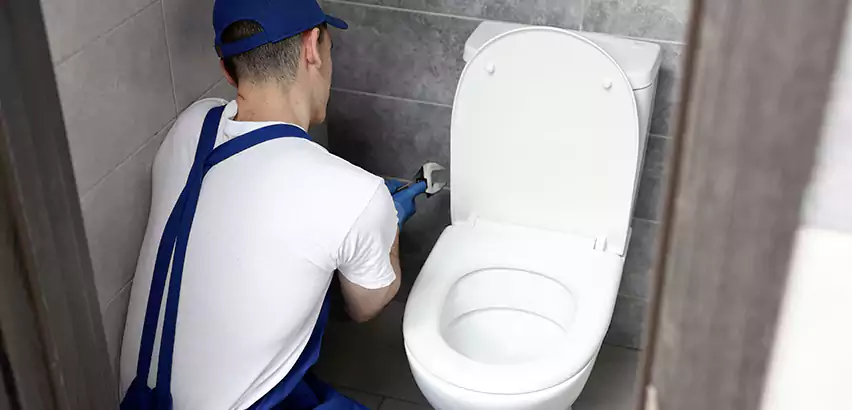 Toilet Lid Replacement in Makakilo