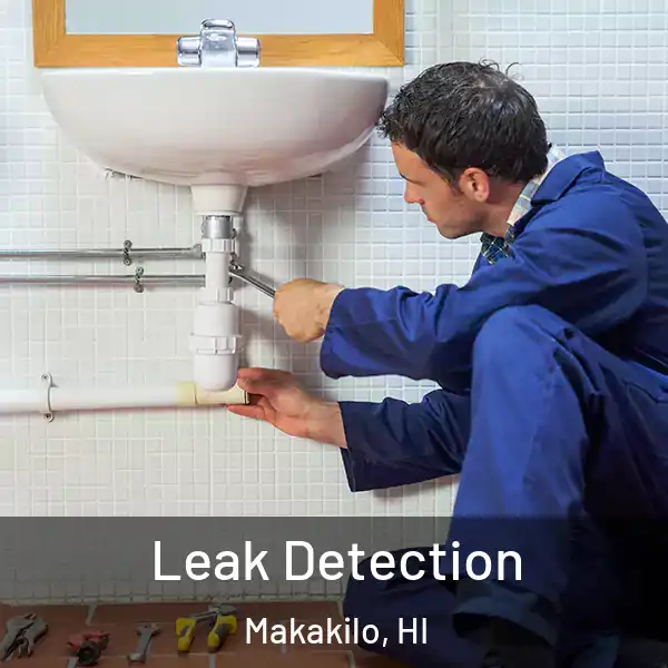  Leak Detection Makakilo, HI