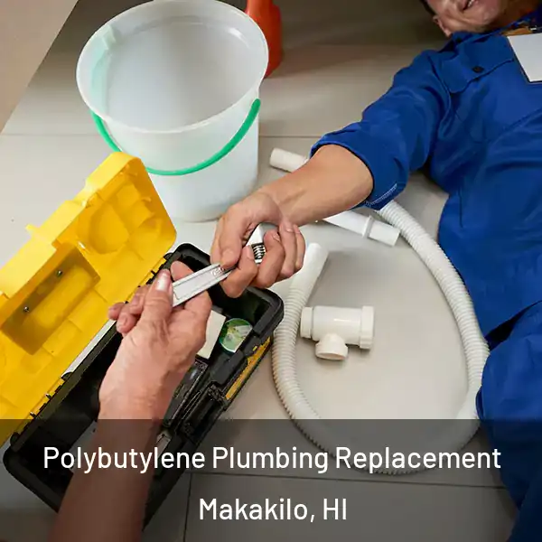  Polybutylene Plumbing Replacement Makakilo, HI