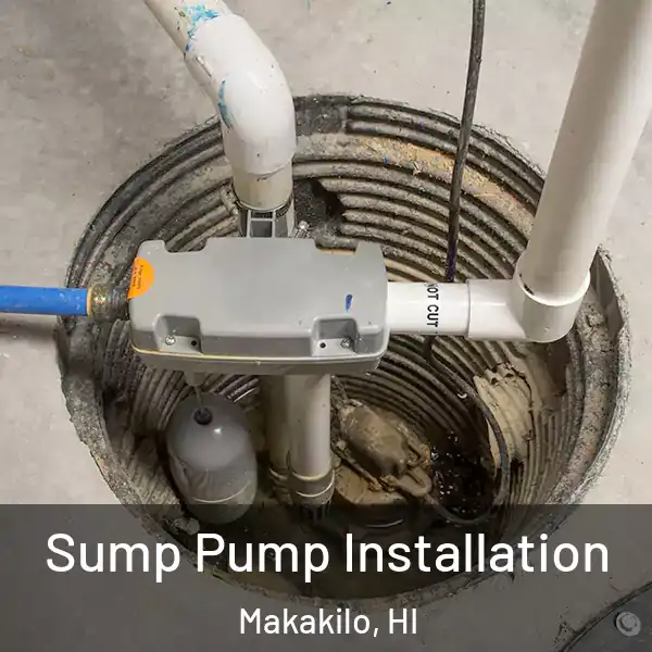  Sump Pump Installation Makakilo, HI
