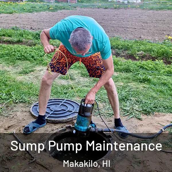  Sump Pump Maintenance Makakilo, HI
