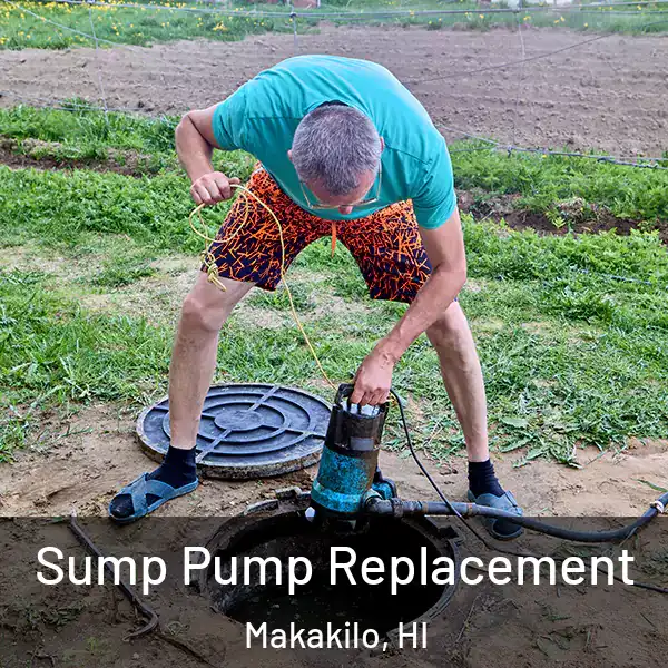  Sump Pump Replacement Makakilo, HI