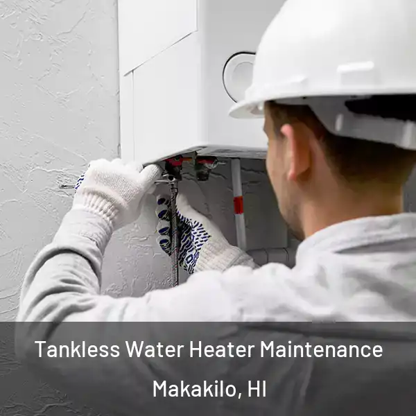  Tankless Water Heater Maintenance Makakilo, HI