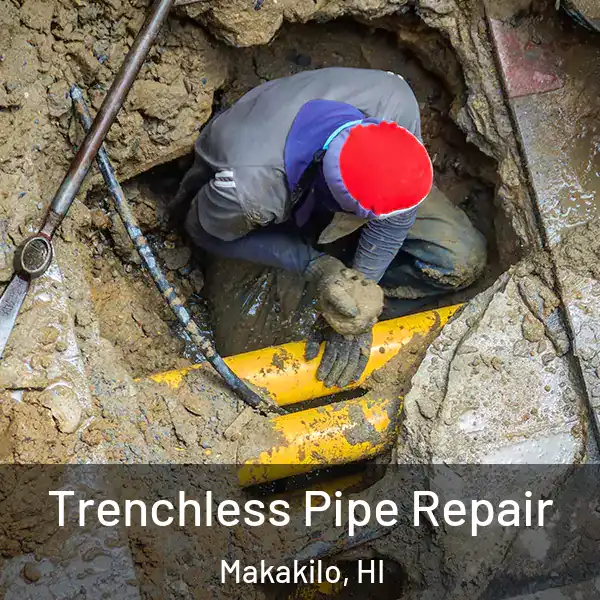  Trenchless Pipe Repair Makakilo, HI