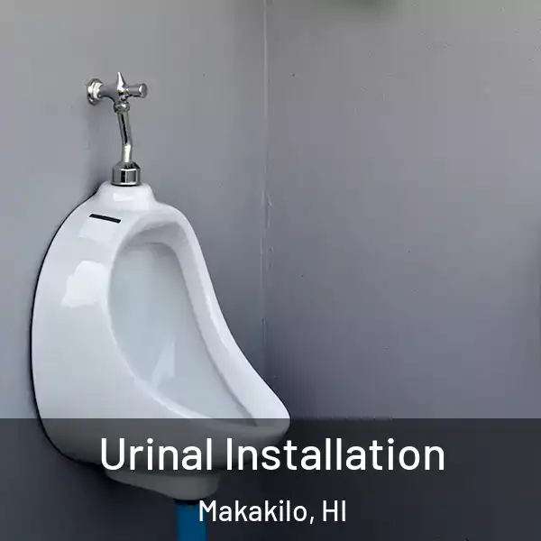  Urinal Installation Makakilo, HI