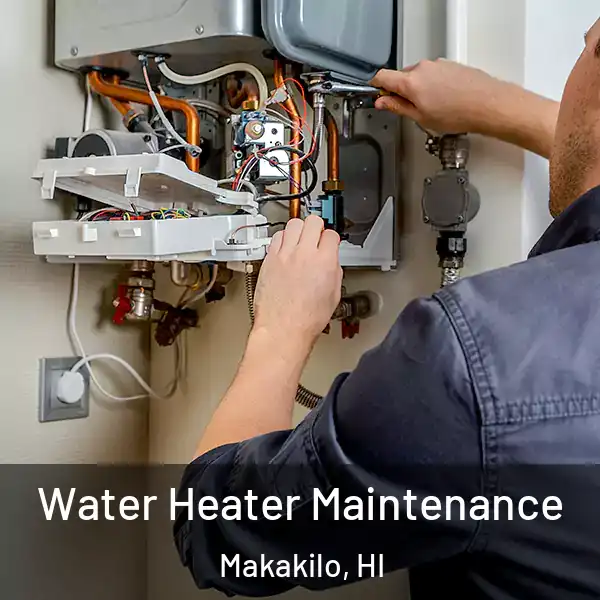  Water Heater Maintenance Makakilo, HI