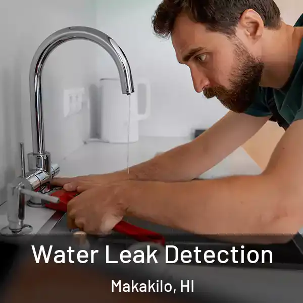  Water Leak Detection Makakilo, HI