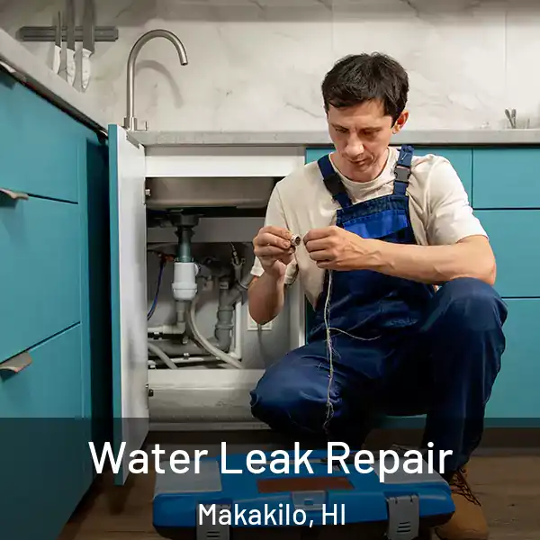  Water Leak Repair Makakilo, HI