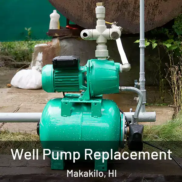  Well Pump Replacement Makakilo, HI